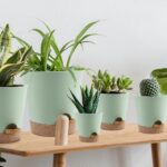 best pots and planters reviews