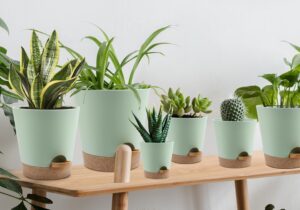 best pots and planters reviews