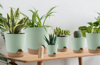 best pots and planters reviews