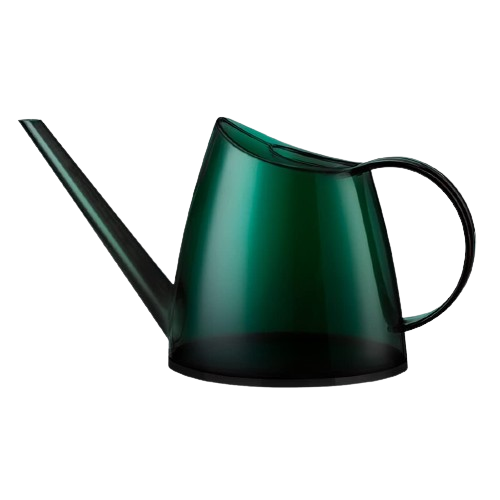 WhaleLife Indoor Watering Can