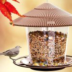 best bird feeders