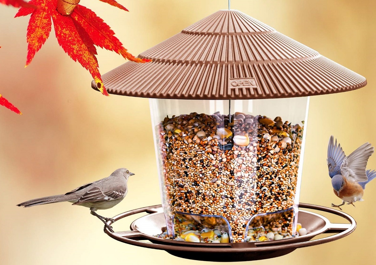 The Best Bird Feeders