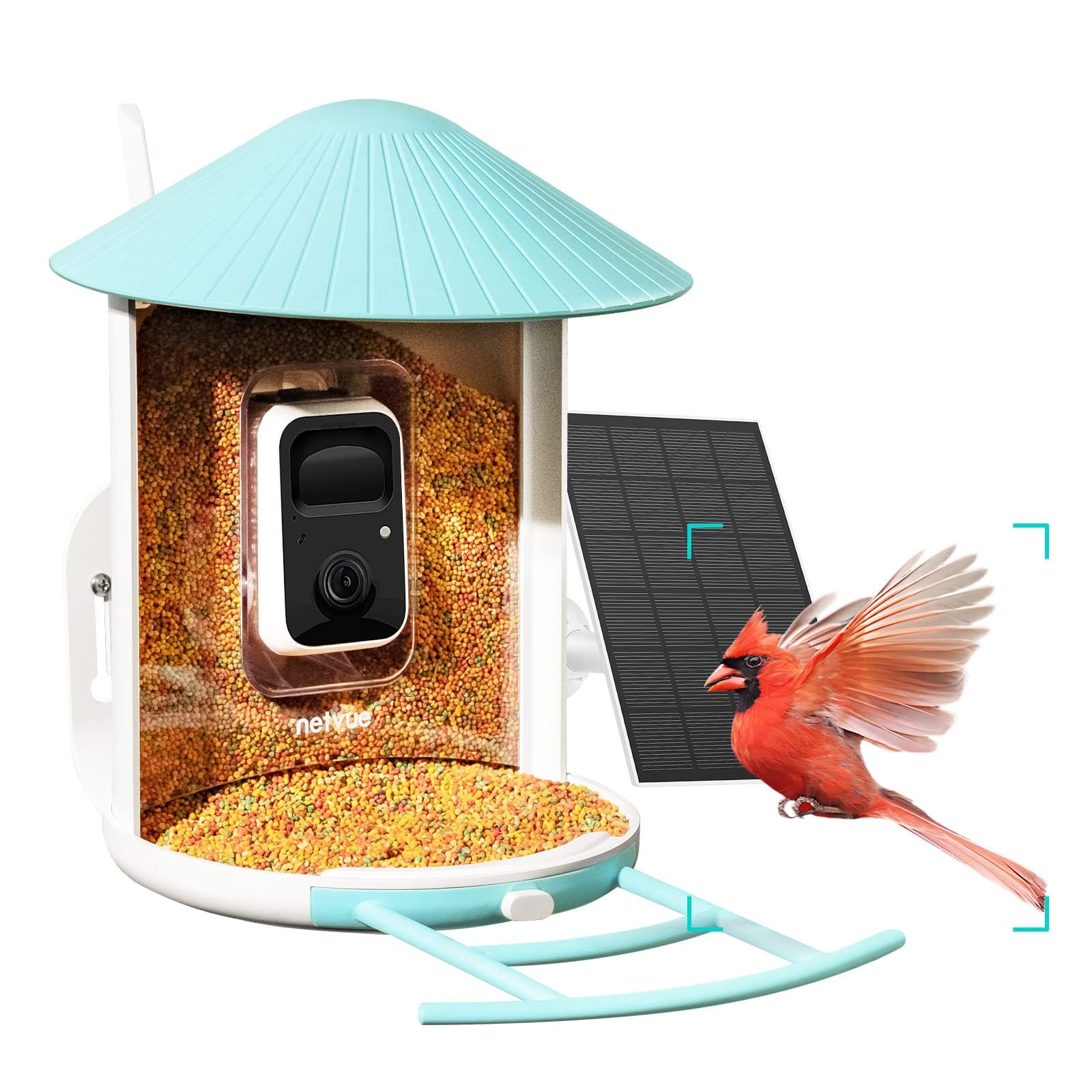 NETVUE Birdfy Smart Bird Feeder