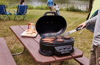 best portable gas grills