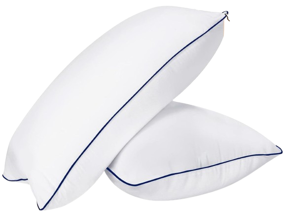 MZOIMZO Emzoimzo Soft Down Pillows