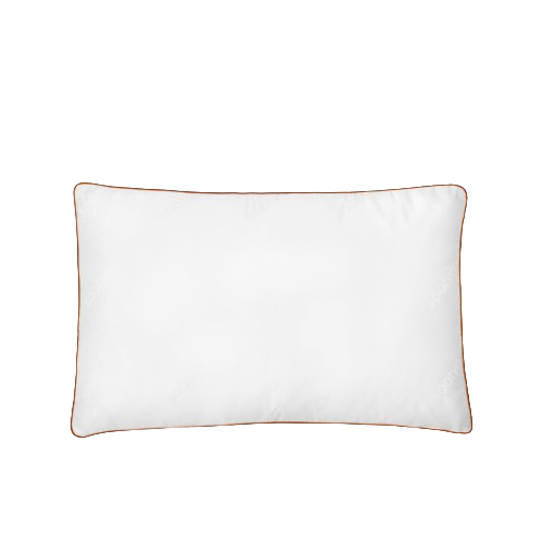 Saatva Latex Pillow for Stomach Sleepers