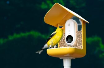 best smart bird feeders reviews