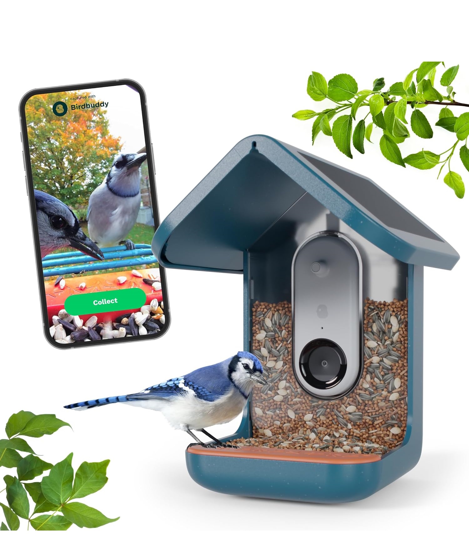 BIRD BUDDY Original Smart Bird Feeder