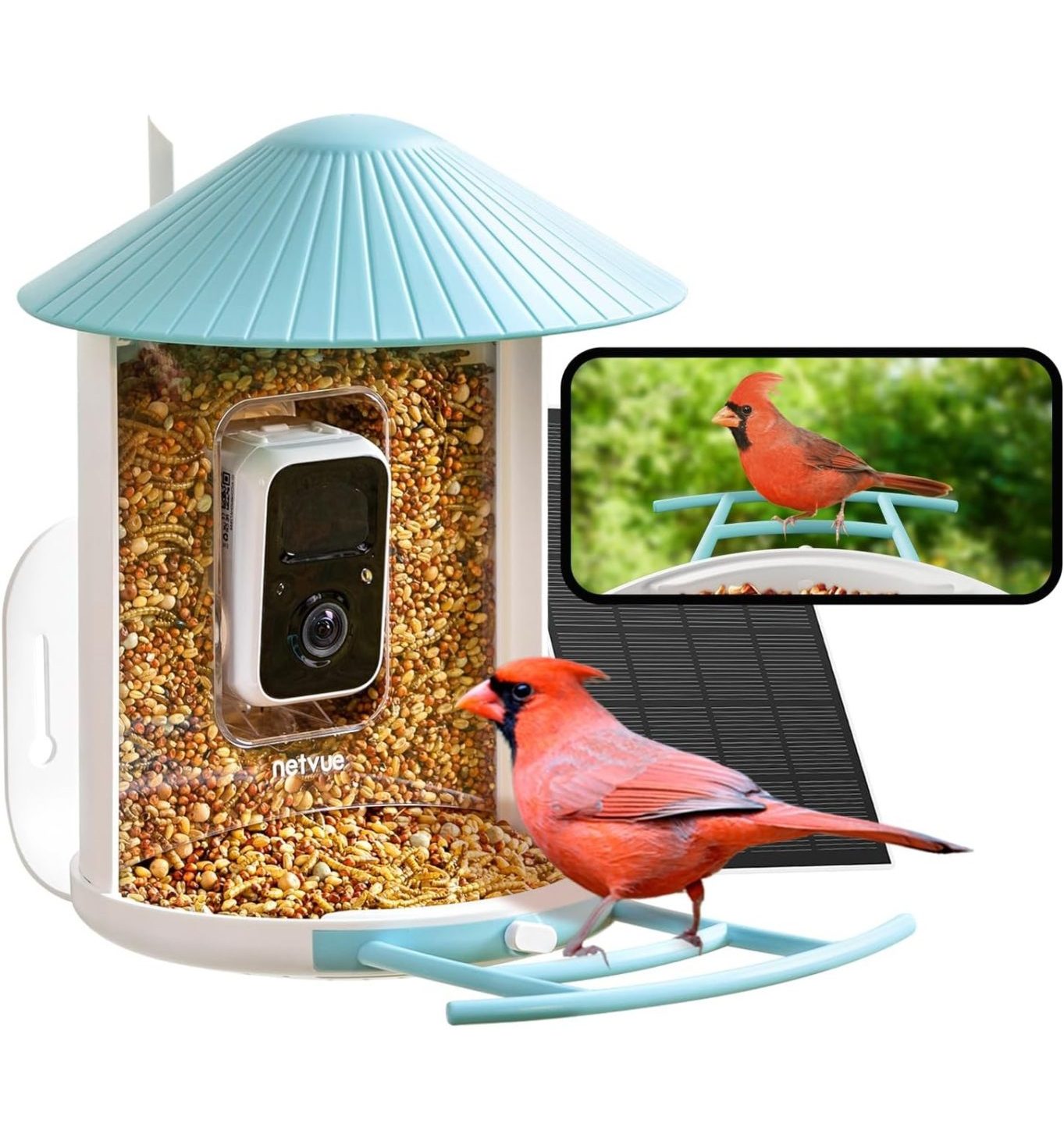 NETVUE Birdfy Smart Bird Feeder