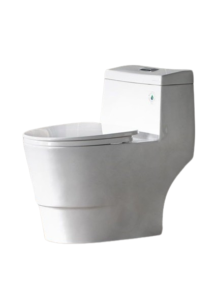 WOODBRIDGE One Piece Toilet